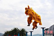 梦见洗手（文化中国行）壮乡狮舞闯南洋：脚踏“云桩” 饮誉海内外